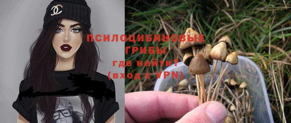 spice Богданович