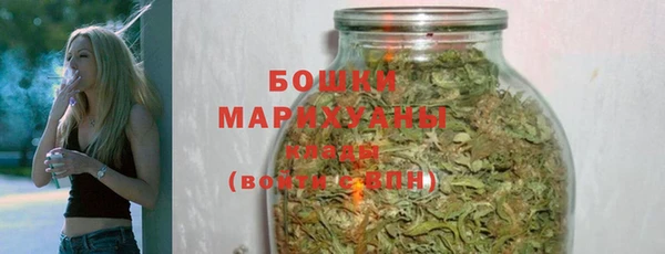 spice Богданович