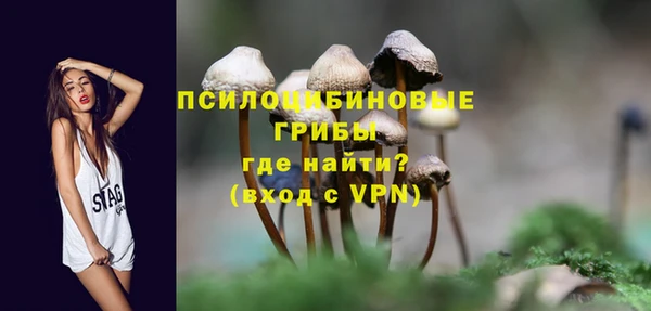 трава Богородицк