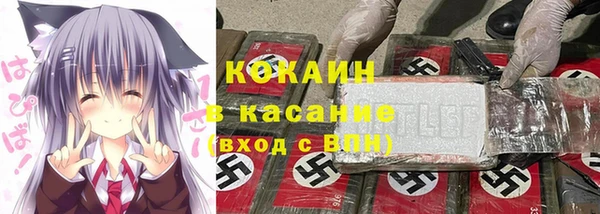 spice Богданович