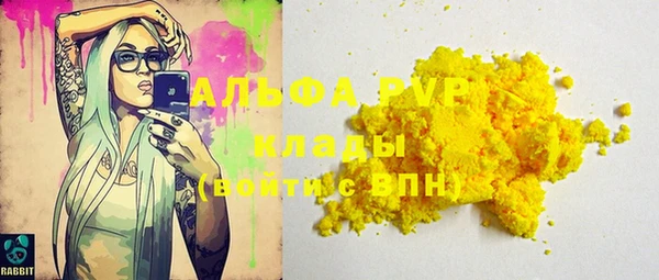 spice Богданович