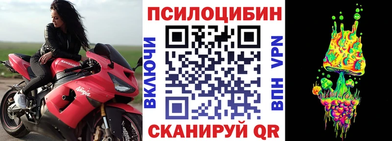 дарнет шоп  Козловка  Псилоцибиновые грибы Magic Shrooms 